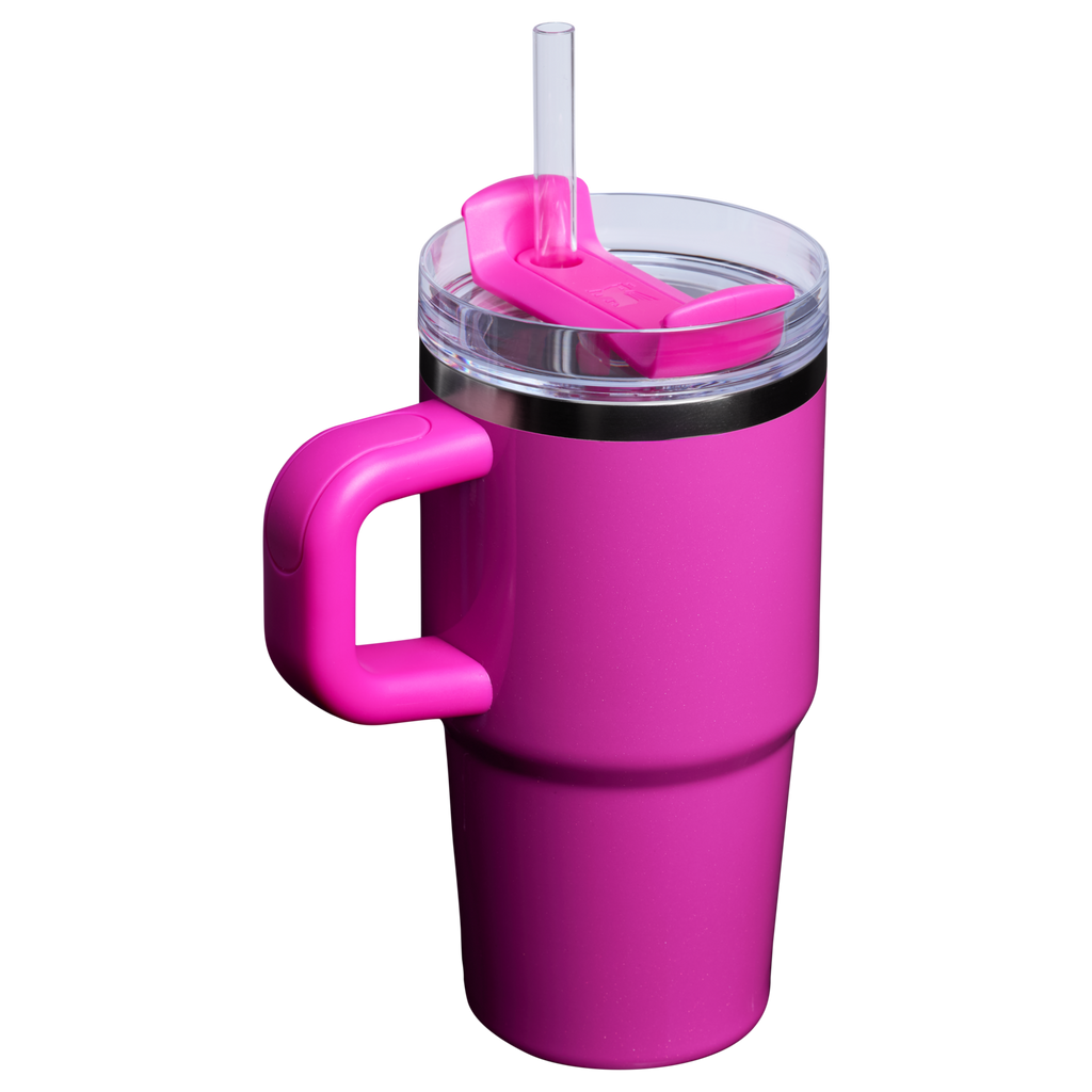Stanley Quencher H2.0 FlowState™ Tumbler with Handle – 20 oz