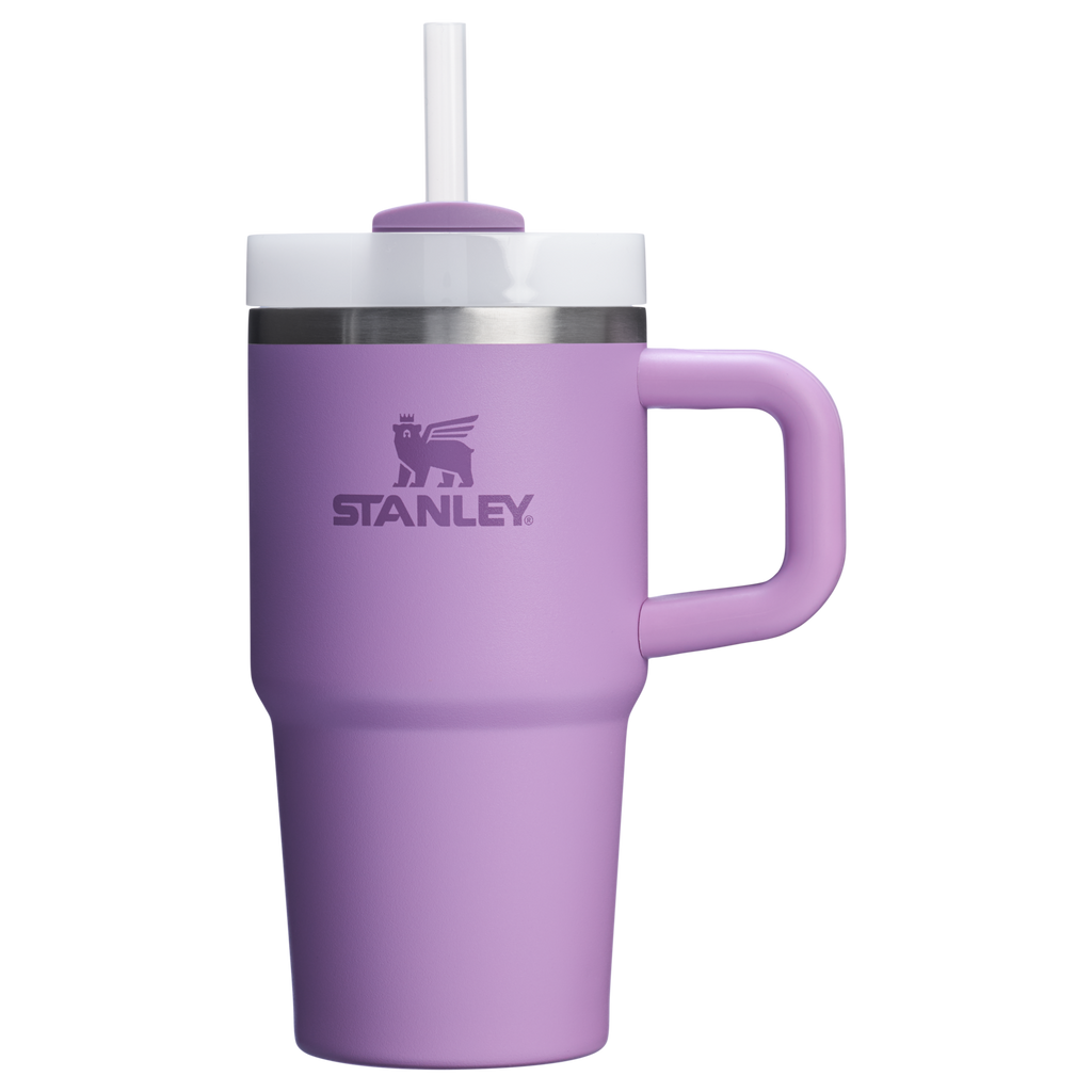 Stanley Quencher H2.0 FlowState™ Tumbler with Handle – 20 oz